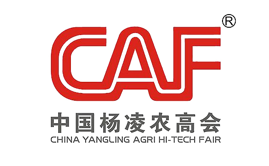 2019�����r(n��ng)�ߕ��TƱ�����X �TƱ�r��