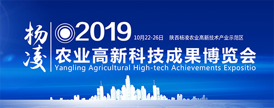 2019�����r(n��ng)�ߕ�ʲô�r���_ �_����