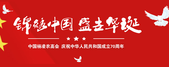 2019�����r(n��ng)�ߕ�(hu��)ÿ��������_(k��i)ʼ