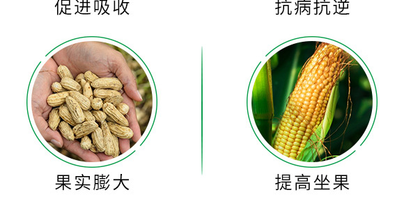 500g�ЙC(j��)��ጵ���-���_(d��)