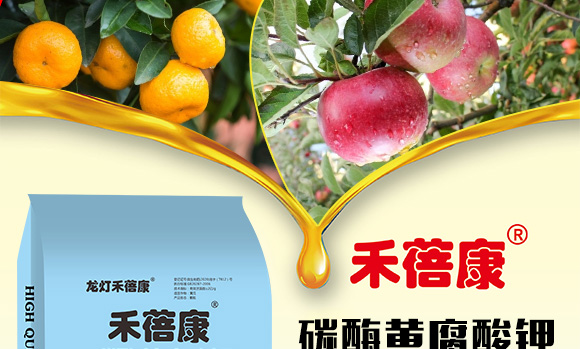 ̼ø�S�����-������-����