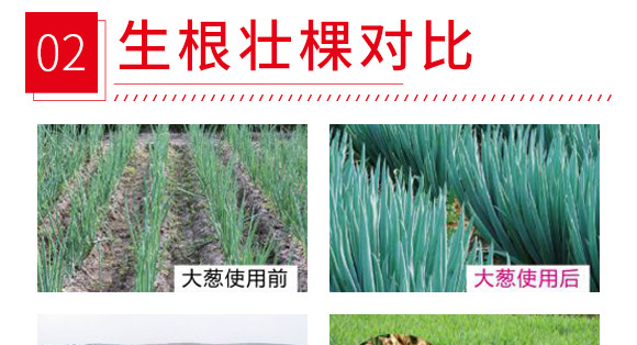 ̼ø�S�����-������-����