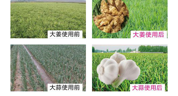 ̼ø�S�����-������-����