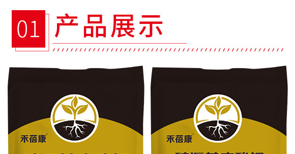 �VԴ�S�����-������-����