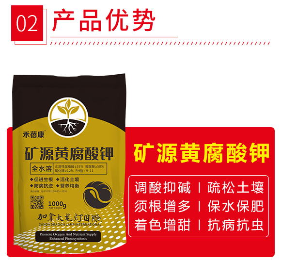 �VԴ�S�����-������-����