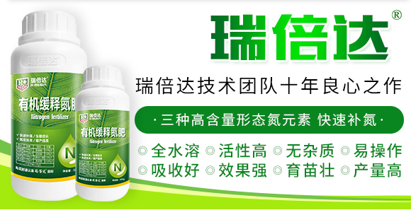 500g�ЙC(j��)��ጵ���-���_(d��)