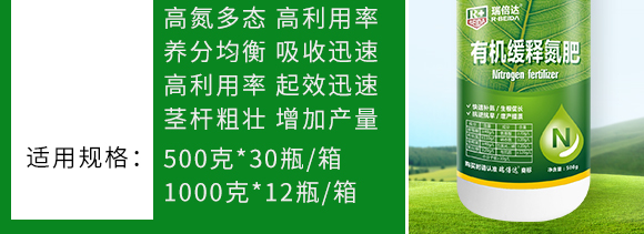 500g�ЙC(j��)��ጵ���-���_(d��)