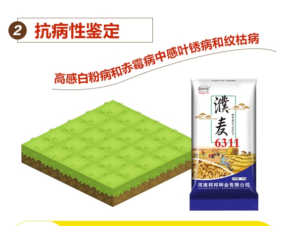 ���6311-С���N��-���N�I(y��)