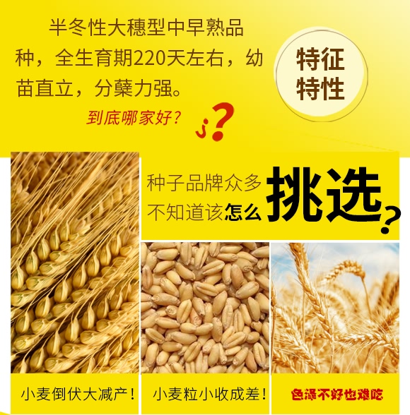 ��Ʒ��27̖-С���N��-���N�I(y��)