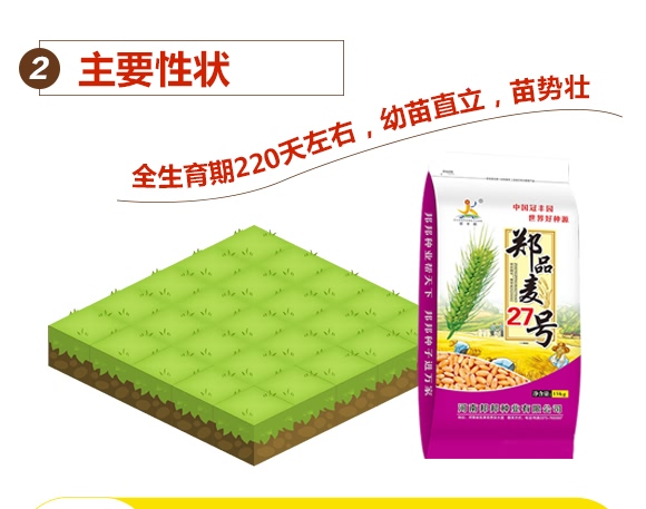 ��Ʒ��27̖-С���N��-���N�I(y��)