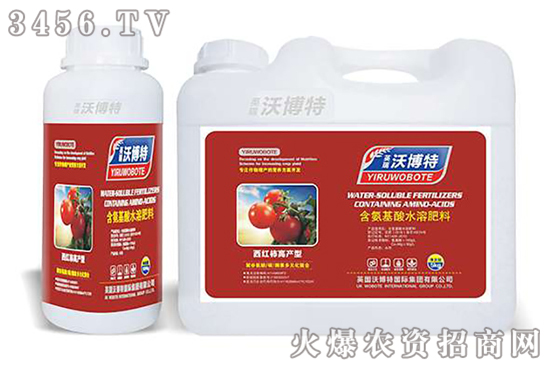 ���t����ʲô���ϽY(ji��)����