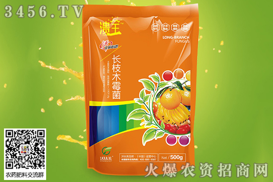 �ְ߲���ʲôˎ����