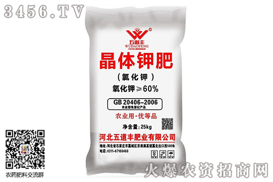 ⛷��Ј�(ch��ng)���w�ַ�(w��n)��2020-9-16����⛷ʃr(ji��)���(b��o)�r(ji��)