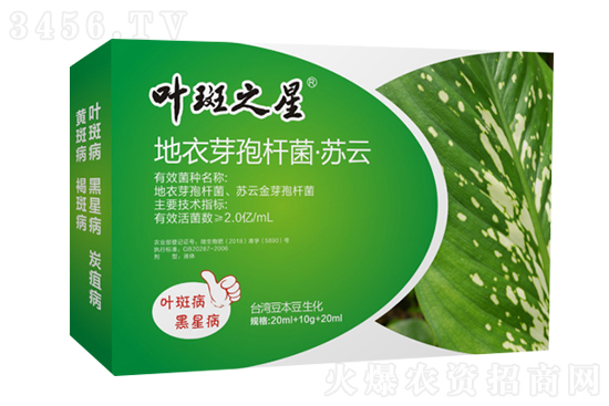 �����~�߲���ʲôˎ����