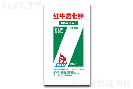 2021-1-13����⛷ʃr(ji��)�������߄�(sh��)����