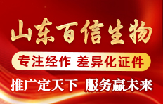 ɽ�|��������Ƽ����޹�˾