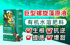 ��ɭԪ�����_(t��i)���M(j��n)�������޹�˾