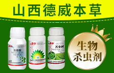 ɽ��������������Ƽ����޹�˾