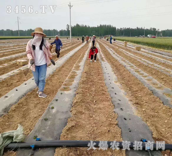 2020��鱘�ӆ�λ����Ŀ12