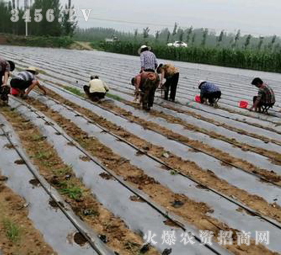 2020��鱘�ӆ�λ����(xi��ng)Ŀ11