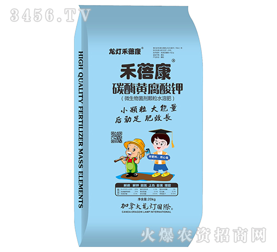 ̼ø�S�����-������-����