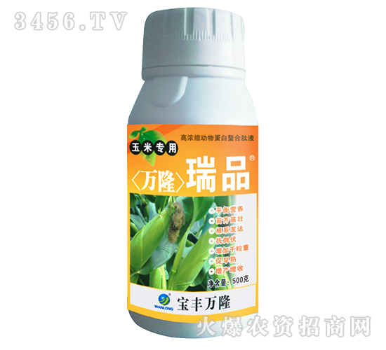 ���׌����~���-�f(w��n)¡��Ʒ