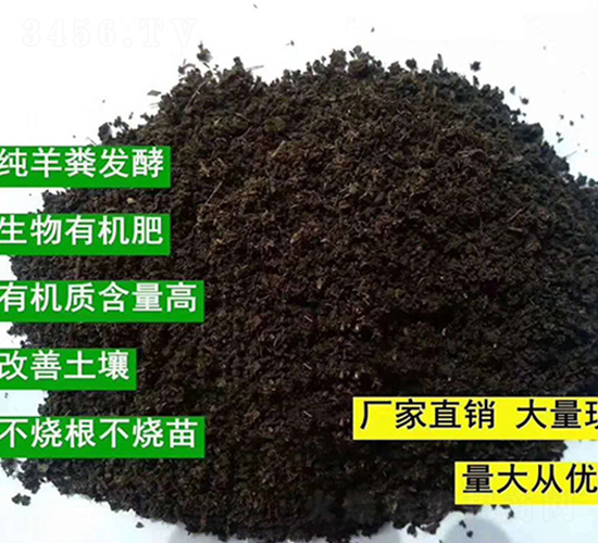 �l(f��)�ͼ���S�ЙC(j��)����-���|�ʘI(y��)