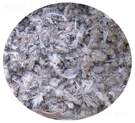 ���ӼS-�f�Z���r(n��ng)�I(y��)