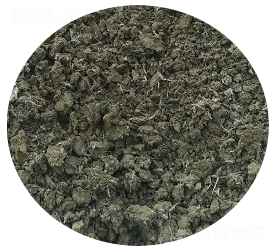 ���u�S-�f�Z���r(n��ng)�I(y��)