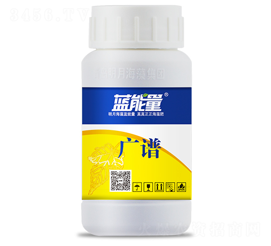 �V�V���~���-�{����