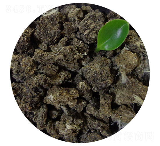 �����u�S�K-�T������