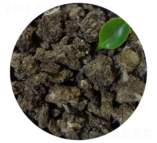 ���u�S��-�T������