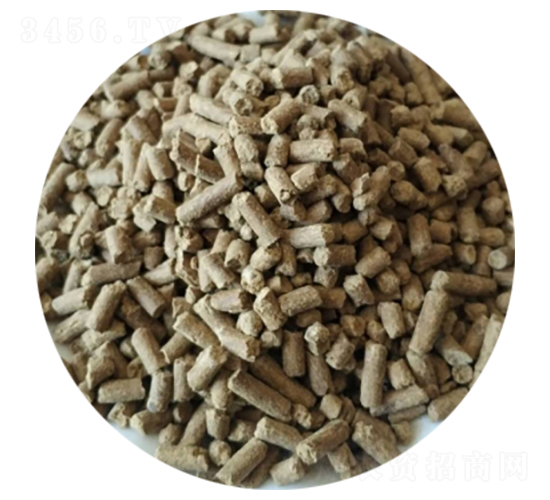 ΢�������-ʥ������