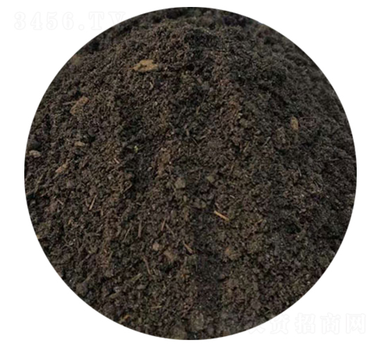 ţ�S-ʥ������