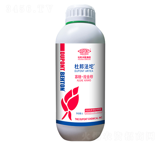 ���ǡ��ͽ���-�Ű��-�Ű�