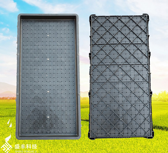 9���պ�����P-ʢ�S�r(n��ng)�C