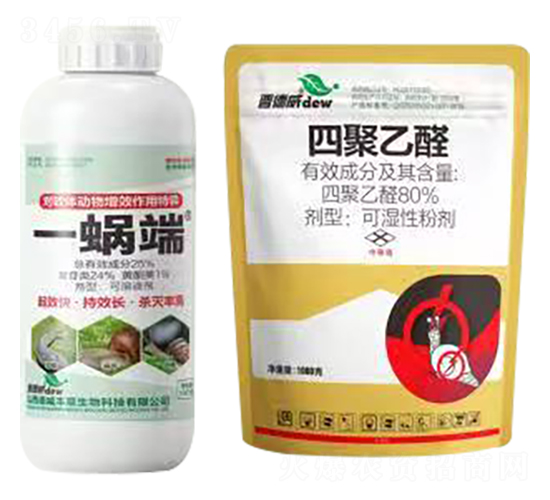 һ΁��+�ľ���ȩ-�x����