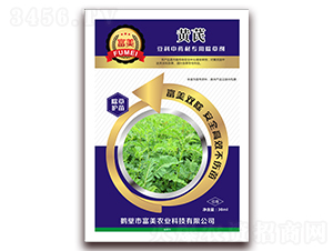 �S��������������ˎ�ĳ��݄�-���� 