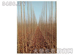 2020��鱘�ӆ�λ����Ŀ16