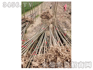 2020��鱘�ӆ�λ����Ŀ17