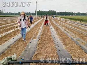 2020��鱘�ӆ�λ����Ŀ12