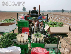 2020��鱘�ӆ�λ����Ŀ9