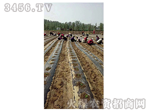 2020��鱘�ӆ�λ����(xi��ng)Ŀ2