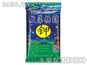 ΢���Ǵ��-ʥ���m 