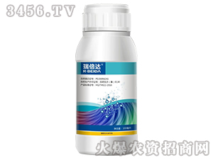 �|̦�؃�(n��i)��-���_(d��)