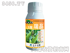 ���׌����~���-�f(w��n)¡��Ʒ