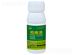 ������-��(qi��ng)�r(n��ng)����