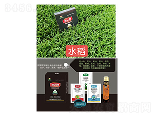 ���砀���M���ײͣ�ˮ�����ã�-�Ϸ�·-�Z�M�� 