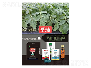 ���砀���M���ײͣ����ь��ã�-�Ϸ�·-�Z�M�� 