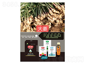 ���砀���M���ײͣ��󽪌��ã�-�Ϸ�·-�Z�M�� 